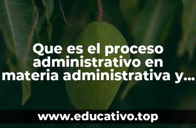 Que es el proceso administrativo en materia administrativa y fiscal