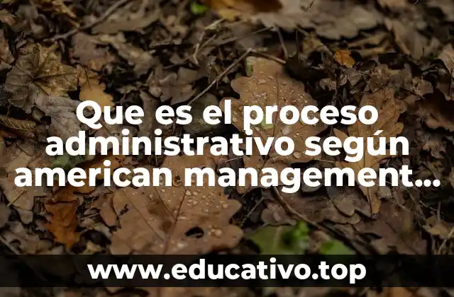 Que es el proceso administrativo según american management association