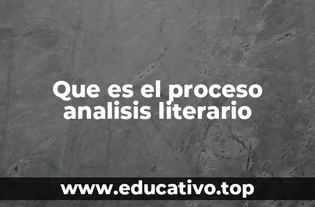 Que es el proceso analisis literario