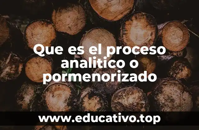 Que es el proceso analitico o pormenorizado