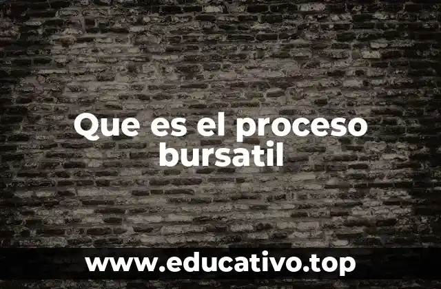 Que es el proceso bursatil