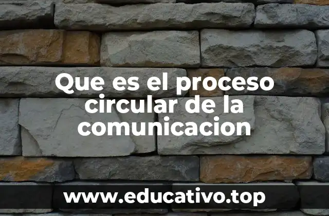 Que es el proceso circular de la comunicacion