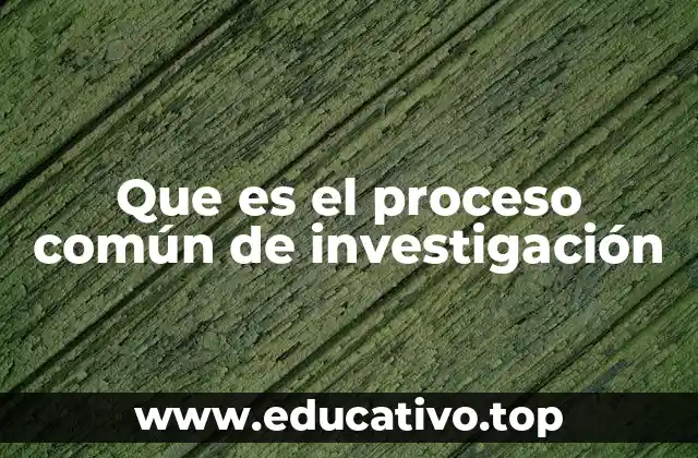 Que es el proceso común de investigación