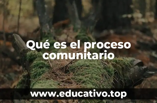 Qué es el proceso comunitario