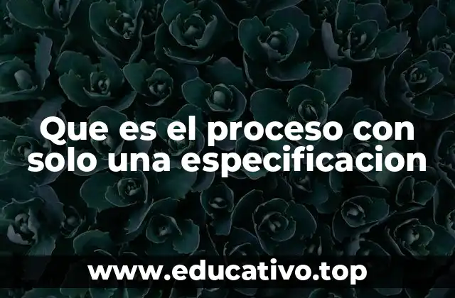 Que es el proceso con solo una especificacion