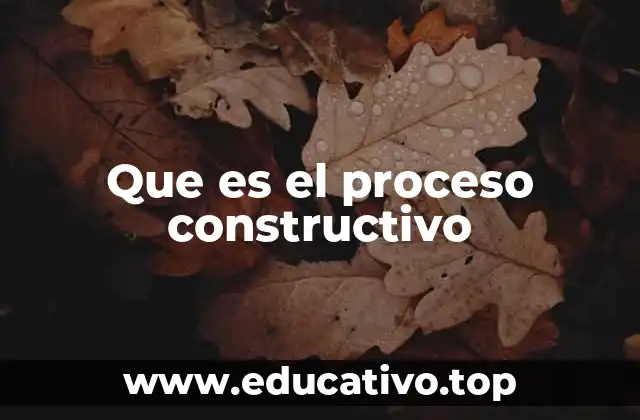 Que es el proceso constructivo