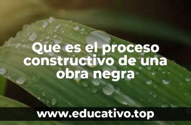 Que es el proceso constructivo de una obra negra