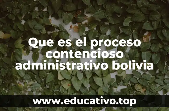 Que es el proceso contencioso administrativo bolivia