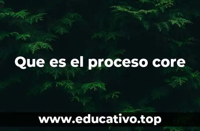 Que es el proceso core