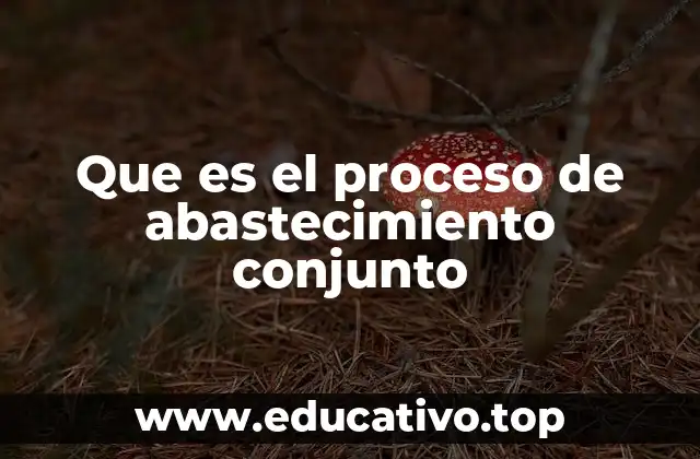 Que es el proceso de abastecimiento conjunto