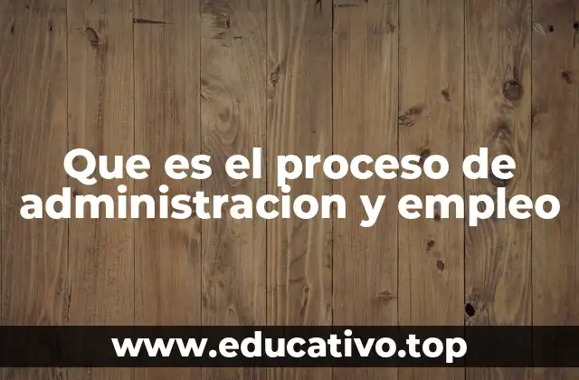 Que es el proceso de administracion y empleo