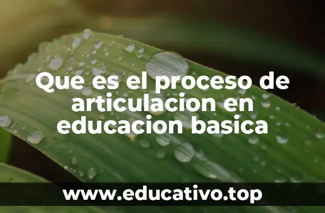 Que es el proceso de articulacion en educacion basica