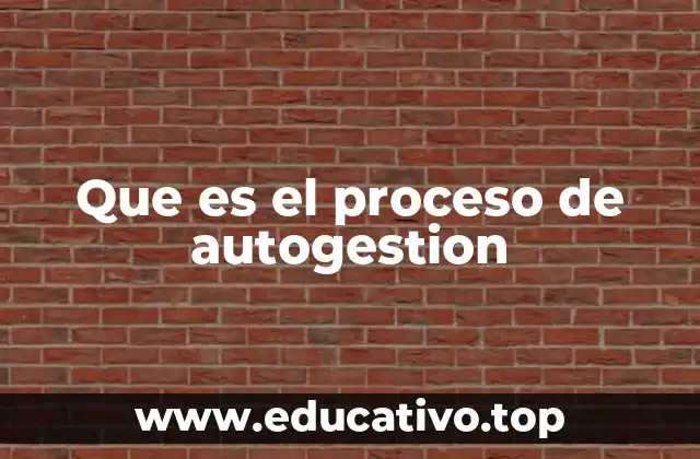 Que es el proceso de autogestion
