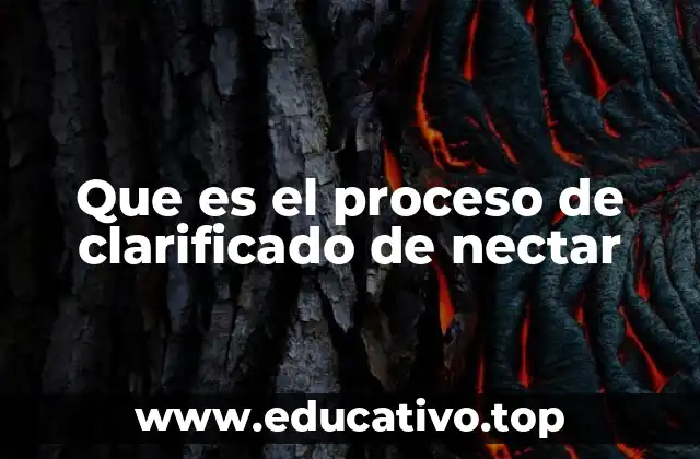 Que es el proceso de clarificado de nectar
