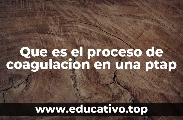Que es el proceso de coagulacion en una ptap