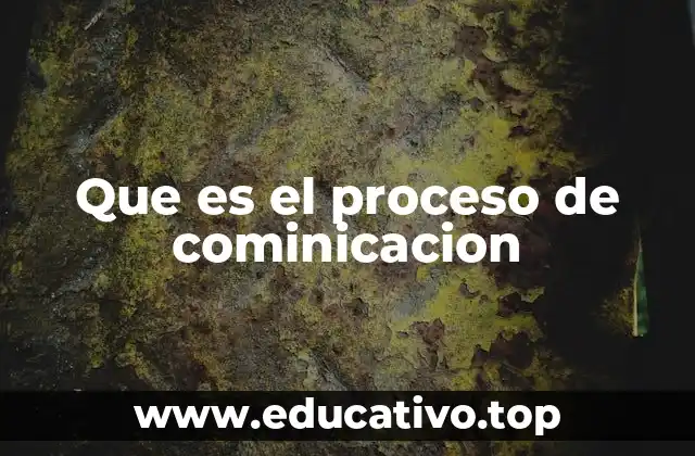 Que es el proceso de cominicacion