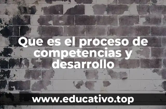 Que es el proceso de competencias y desarrollo