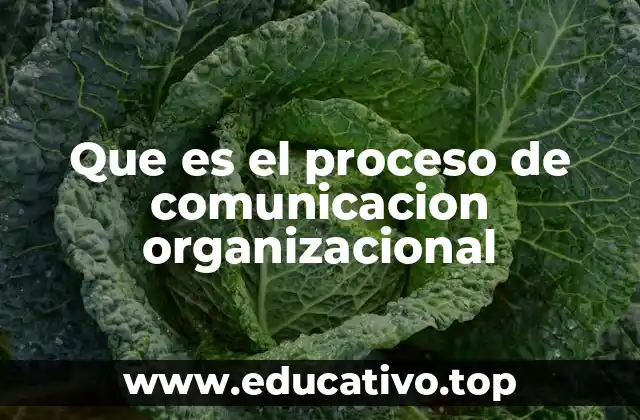 Que es el proceso de comunicacion organizacional