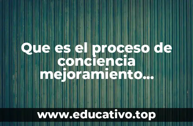 Que es el proceso de conciencia mejoramiento mantenimiento