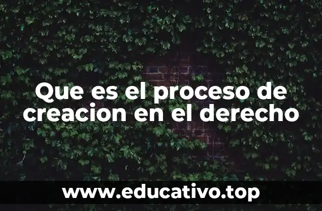 Que es el proceso de creacion en el derecho