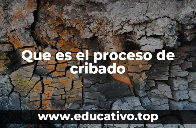 Que es el proceso de cribado