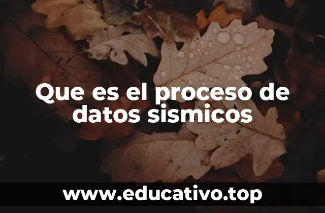 Que es el proceso de datos sismicos