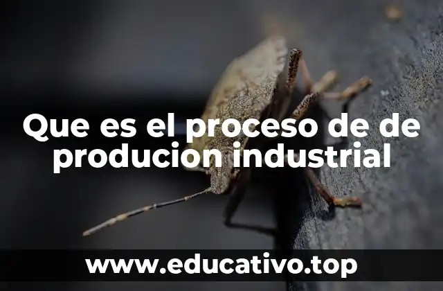 Que es el proceso de de producion industrial