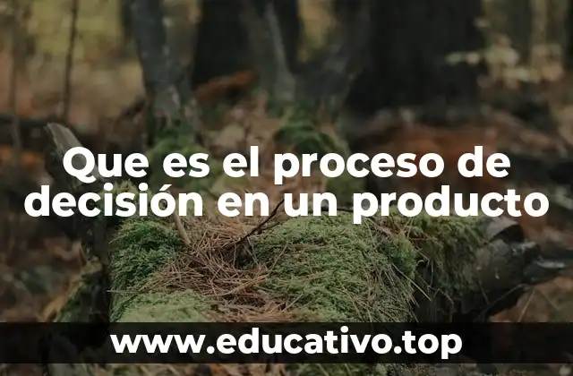 Que es el proceso de decisión en un producto