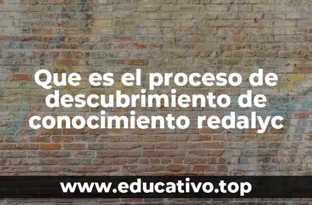 Que es el proceso de descubrimiento de conocimiento redalyc