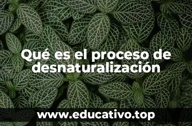 Qué es el proceso de desnaturalización