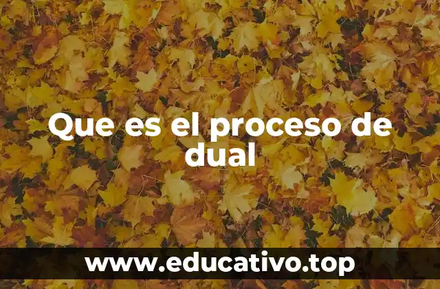 Que es el proceso de dual