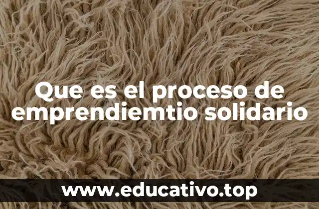 El enfoque colaborativo en el proceso de emprendimiento solidario
