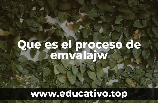 Que es el proceso de emvalajw