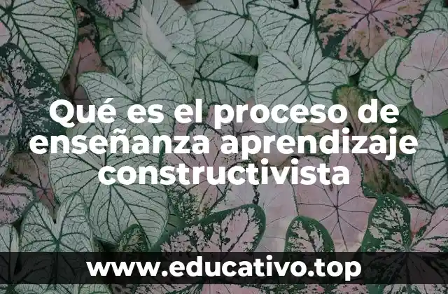 Qué es el proceso de enseñanza aprendizaje constructivista