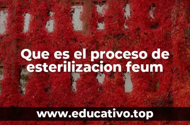 Que es el proceso de esterilizacion feum