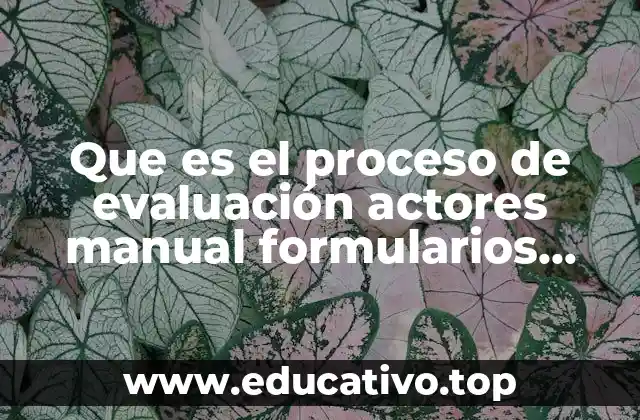 Que es el proceso de evaluación actores manual formularios procedimiento