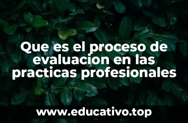 Que es el proceso de evaluacion en las practicas profesionales