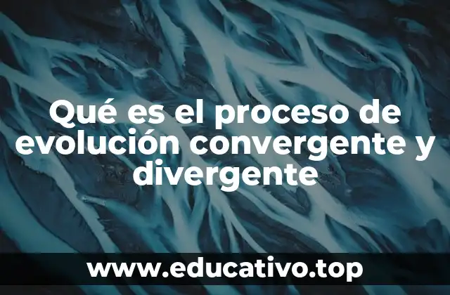 Qué es el proceso de evolución convergente y divergente