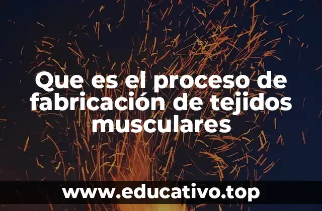 Que es el proceso de fabricación de tejidos musculares