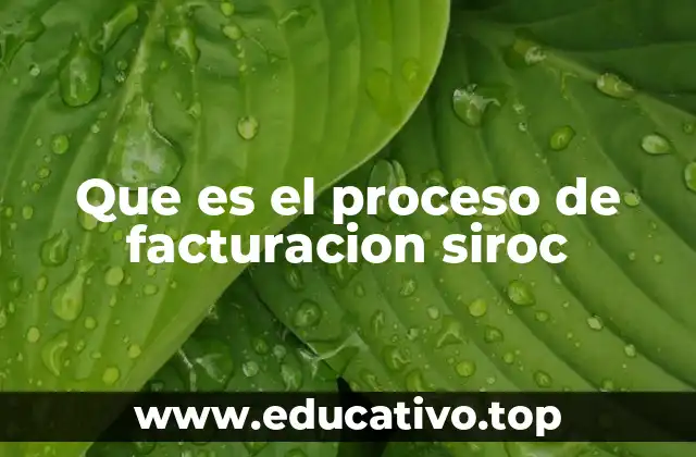 Que es el proceso de facturacion siroc