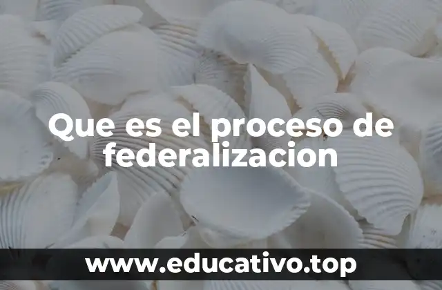 Que es el proceso de federalizacion