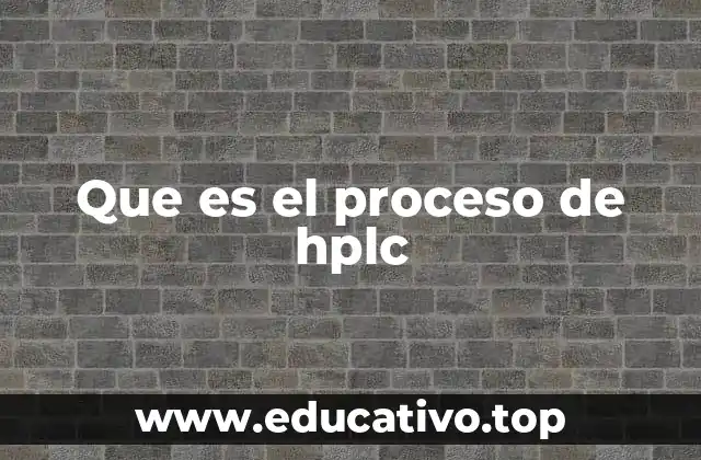 Que es el proceso de hplc