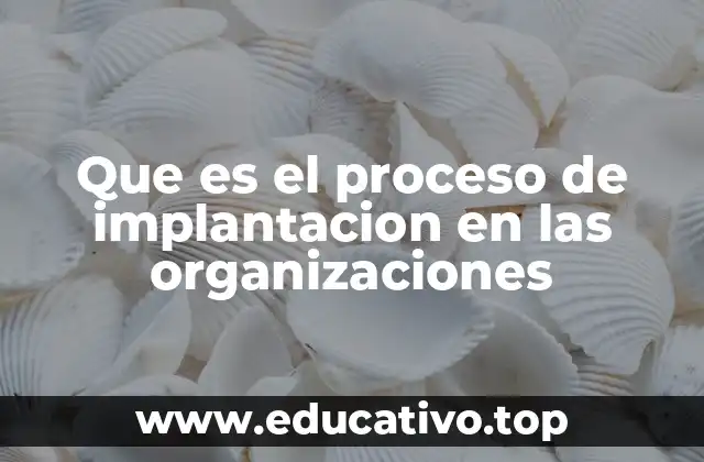 Que es el proceso de implantacion en las organizaciones