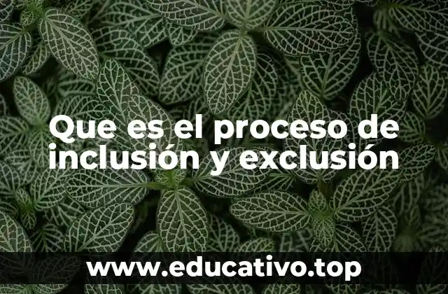 Cómo el proceso de inclusión y exclusión afecta la equidad social