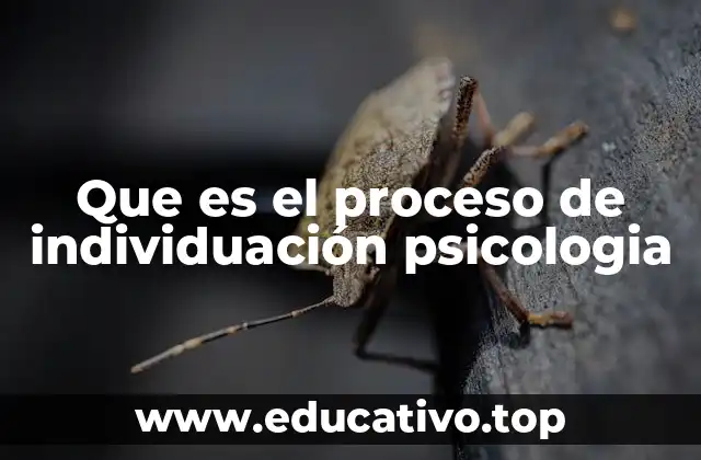 Que es el proceso de individuación psicologia