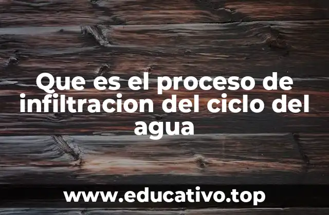Que es el proceso de infiltracion del ciclo del agua