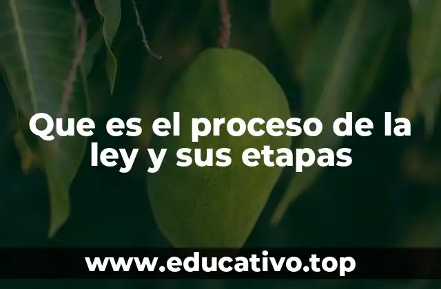 Que es el proceso de la ley y sus etapas
