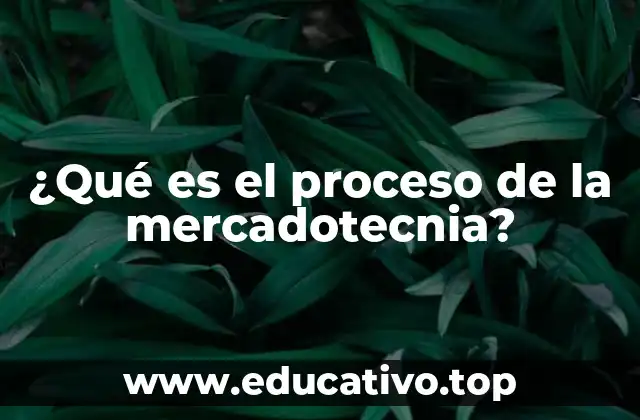 Las bases del proceso de mercadotecnia