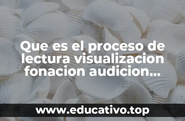 Que es el proceso de lectura visualizacion fonacion audicion cerebracion