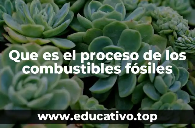 Que es el proceso de los combustibles fósiles